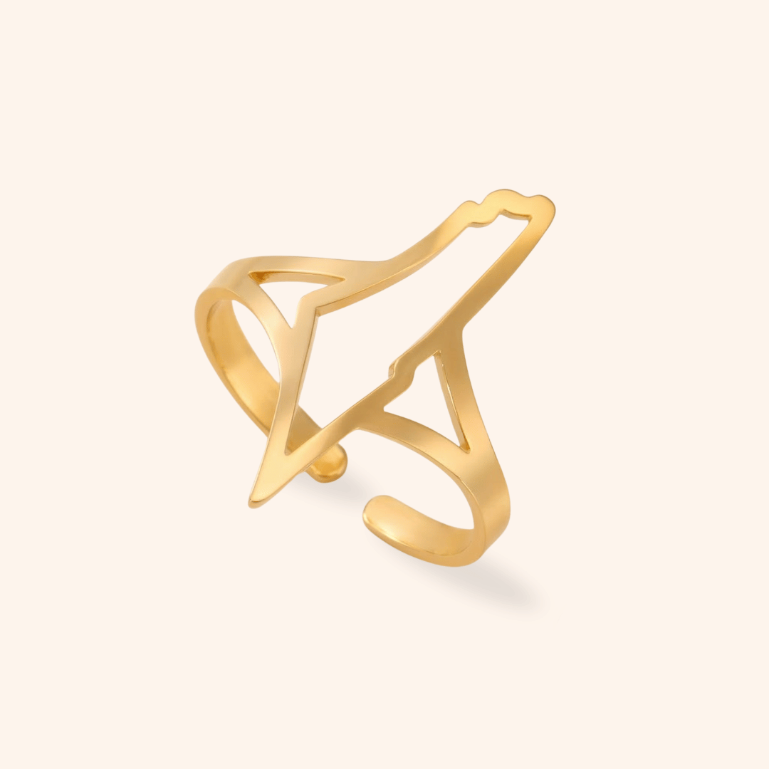 Noor Palestine Minimal Ring