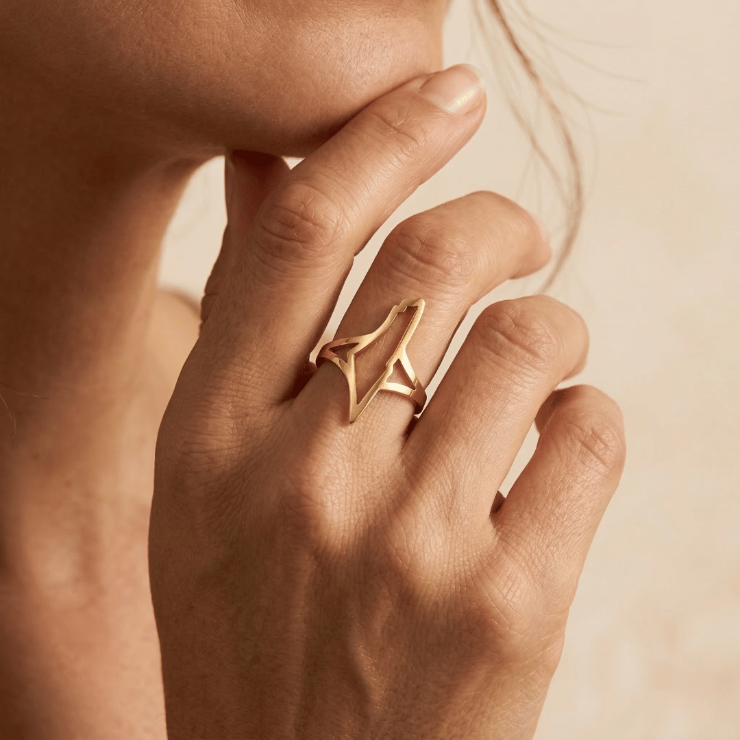 Noor Palestine Minimal Ring